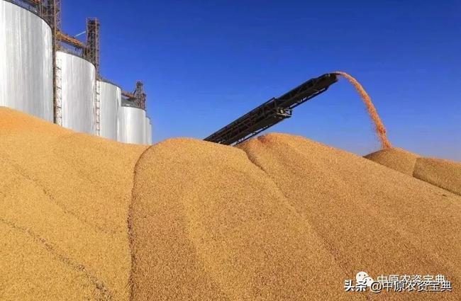 玉米大豆等农产品价格涨势喜人中国粮食安全再次大幅度提升